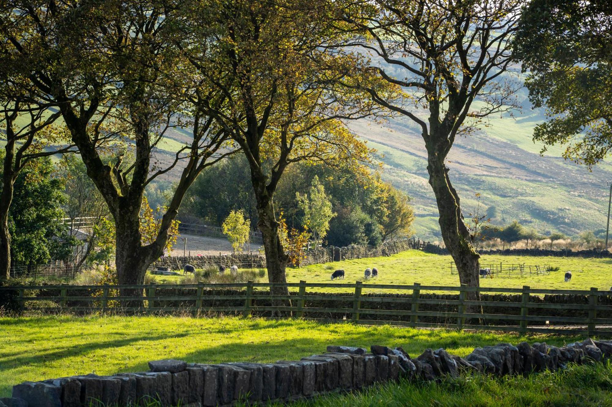 Farways Den Casa de Férias Haworth